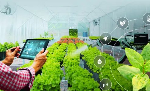 The Role of Technology in Modern Agriculture
